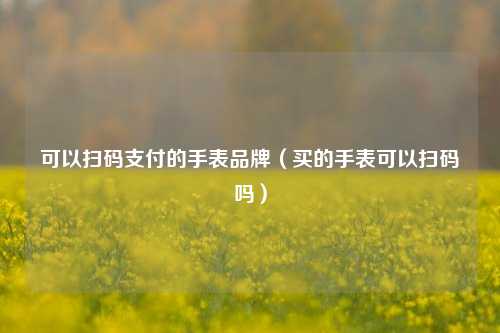 可以扫码支付的手表品牌（买的手表可以扫码吗）