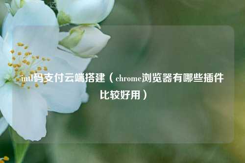 intl码支付云端搭建（chrome浏览器有哪些插件比较好用）