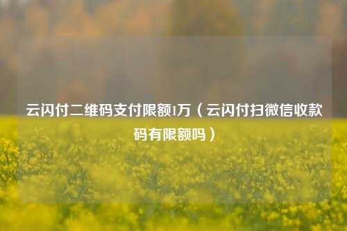 云闪付二维码支付限额1万（云闪付扫微信收款码有限额吗）