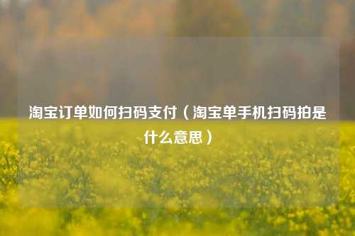 淘宝订单如何扫码支付（淘宝单手机扫码拍是什么意思）