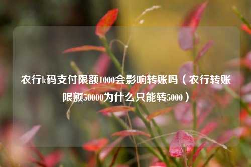 农行k码支付限额1000会影响转账吗（农行转账限额50000为什么只能转5000）